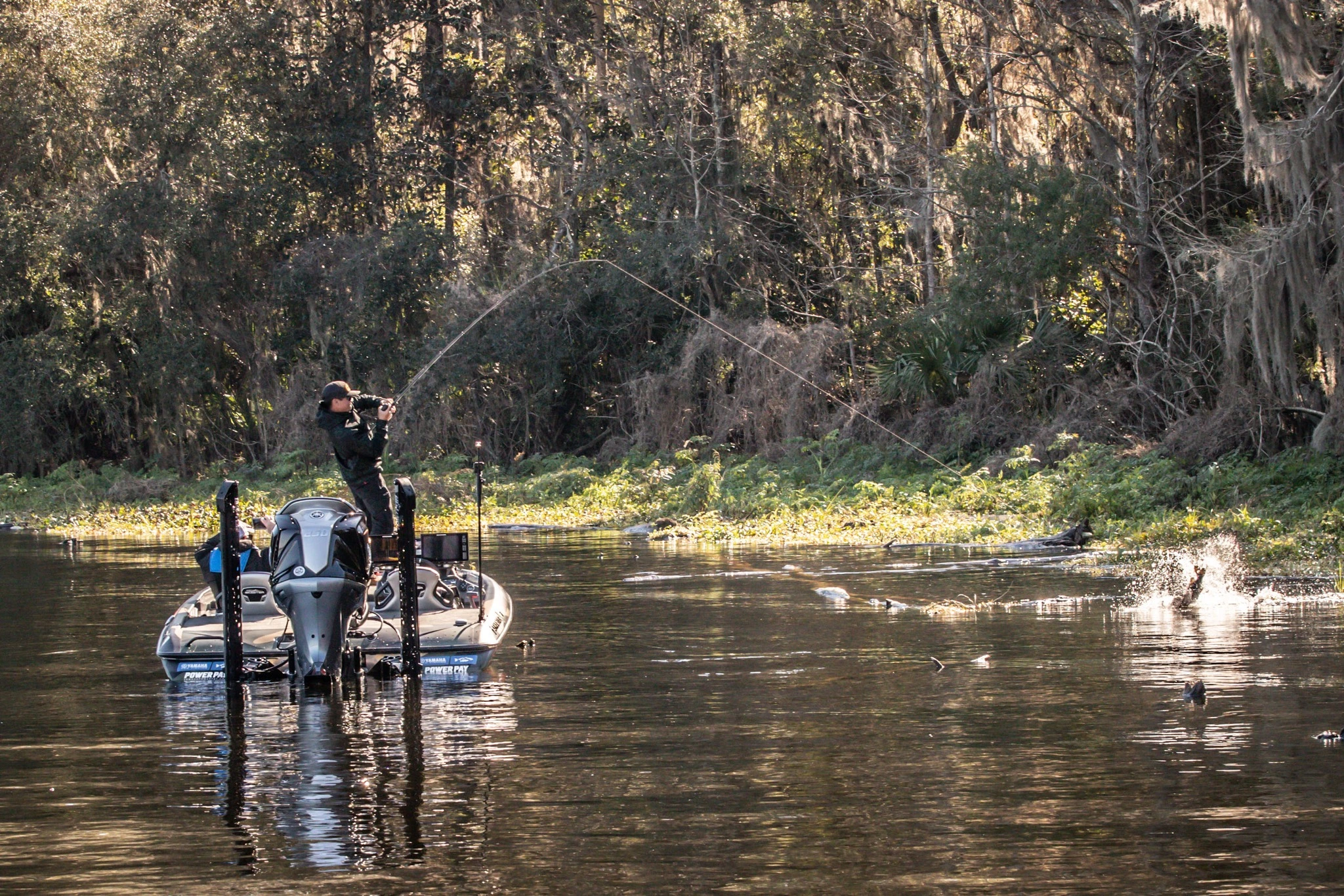 Angelrollen mit Heckbremse Verkäufe -Angelrollen mit Heckbremse Verkäufe 277080772 4910443542342050 1554055771055466139 n