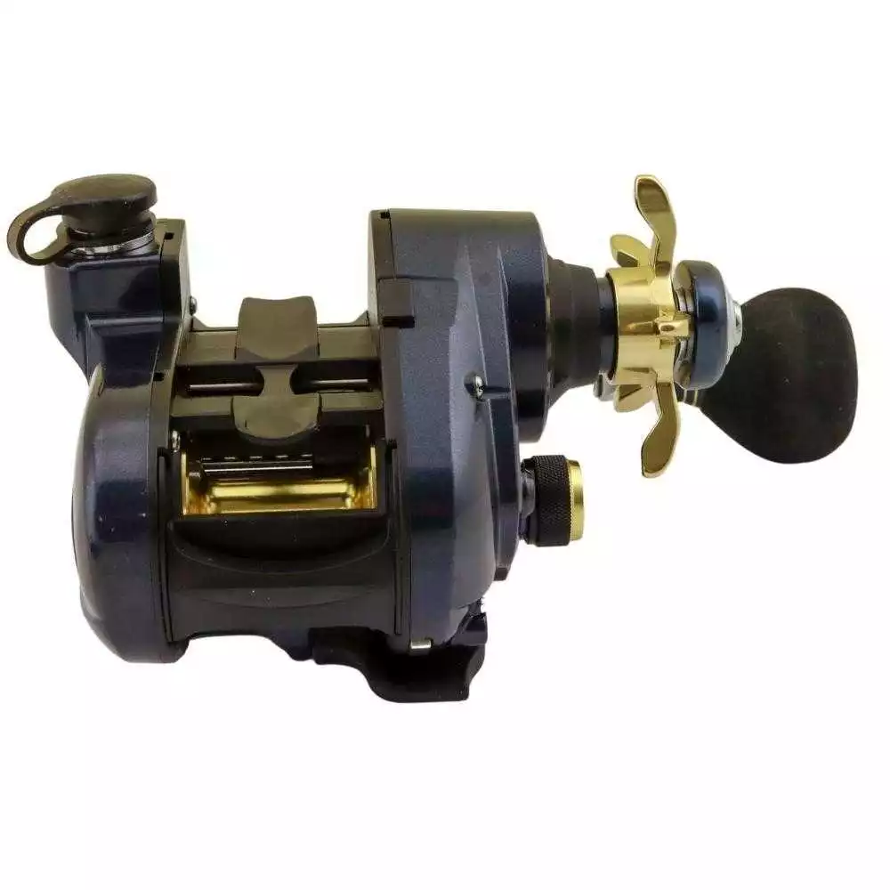 WFT Sea King 550 PR HP LH Elektrorolle 6 WFT Sea King 550 PR HP LH Elektrorolle – Bild 6